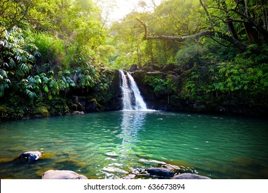 Tropical waterfall Lower Waikamoi Falls and a small crystal clear pond, inside of a dense tropical rainforest, off the Road to Hana Highway, Maui, Hawaii, USA 