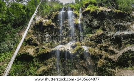 A tropical waterfall. Thin trickles of water cascades down from mossy openwork ledges like a veil. Green vegetation on the rock. Philippines. Tumalog Falls.