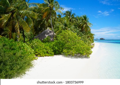 Tropical white sand beach with exotic Coco palm tree with turquoise water. Summer vacation concept. Untouched beach in Maldives, Seychelles, Bora Bora, Jamaica, Tahiti. Paradise island.
