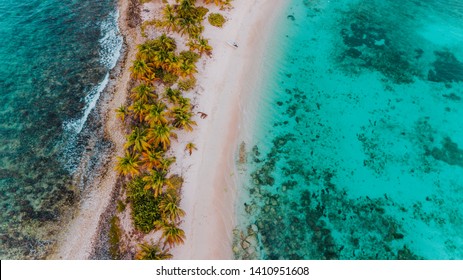 Tropical white sandbar in the middle of the Caribbean Sea, exotic deserted island in the ocean with green palm trees, surrounded by coral reef and turqoise water, Sandy Island in Carriacou, Grenada
