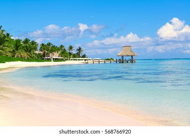 1000 Plage Punta Cana Stock Images Photos Vectors