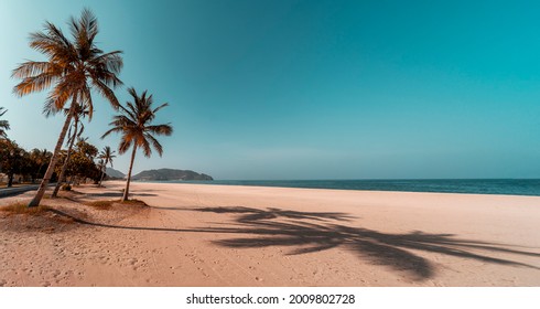Tropical widescreen image of Khor Fakkan beach with palm trees, blue sky and sand in the United Arab Emirates - Shutterstock ID 2009802728