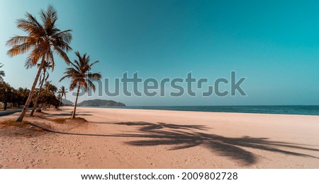 Tropical widescreen image of Khor Fakkan beach with palm trees, blue sky and sand in the United Arab Emirates