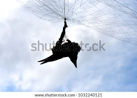 Similar – Image, Stock Photo Washing in the wind Sky