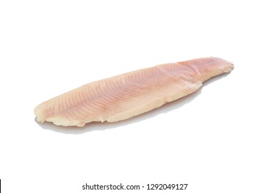 Trout Filet Smoked White Isolated