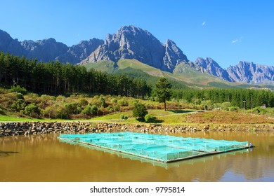 Trout Fish Farm On Lake - And Misty Majestic Mountains As Background. Shot In Jonkershoek Nature Reserve Dam, Near Stellenbosch, Western Cape, South Africa.