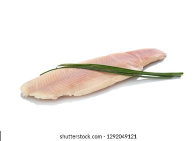 Trout Fish Filet With Green Chive White Isolated