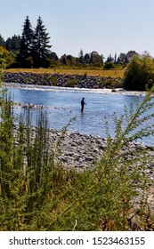 Trout Fishing In Lake Taupo, North Island, New Zealand.