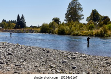 Trout Fishing In Lake Taupo, North Island, New Zealand.