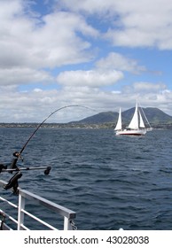 Trout Fishing On Lake Taupo, New Zealand