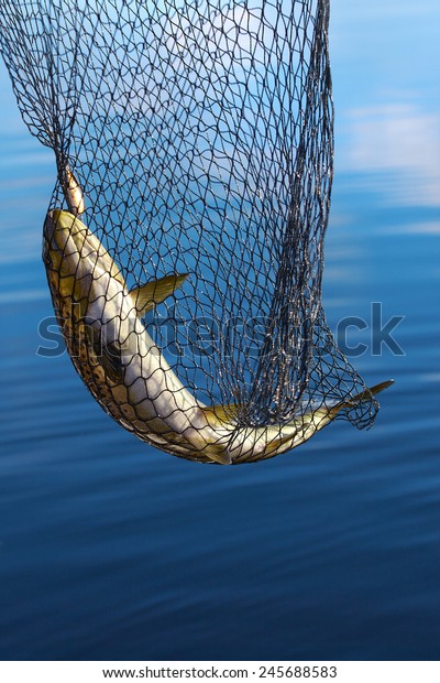 Scoop Net For Fishing 2024