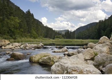 Trout Stream In The Black Hills Of South Dakota