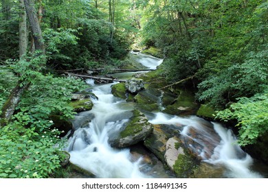 Trout Stream In Southwest Virginia