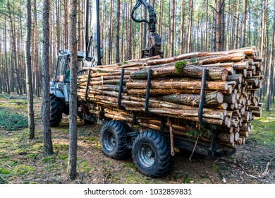 The Truck Collects The Wood On The Hull