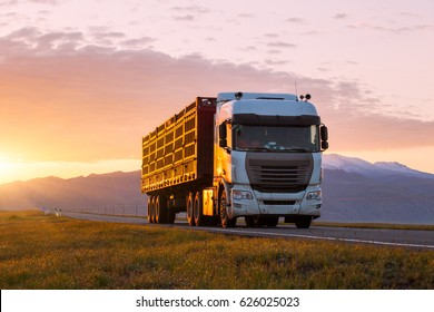 truck driver on the road