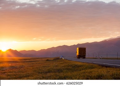 Truck Driver On The Road