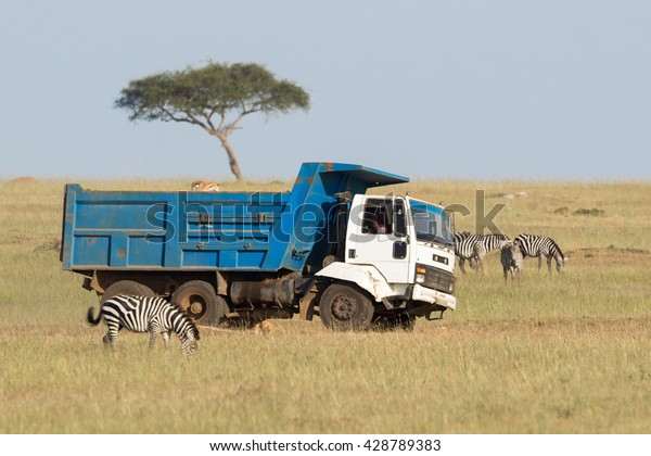 Truck driving\
on the savannah among wild\
animals