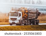 truck hauling timber logs on rural road