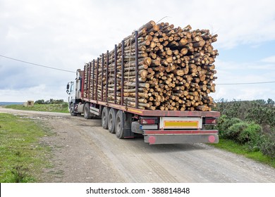 Truck with load of tree trunks of eucalyptus