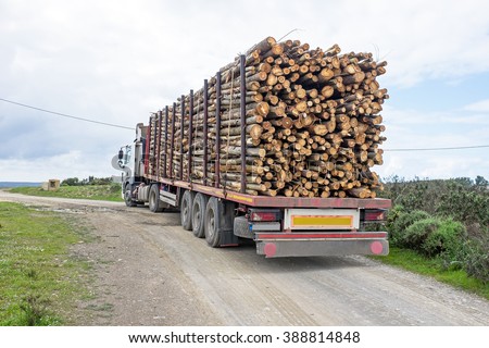 Truck with load of tree trunks of eucalyptus