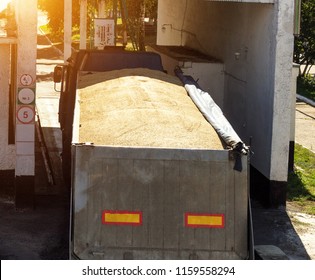 The Truck Loaded With Grain Grabs The Scales, For Further Grain Unloading, Granule