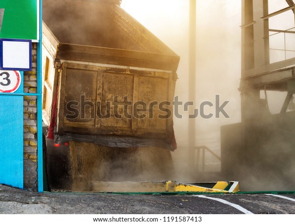 A truck loaded with grain pours grain\
from the body at a processing plant,\
production