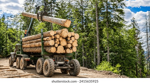 Truck loading wood in the forest. Loading logs onto a logging truck. Portable crane on a logging truck. Forestry tractors, trucks and loggers hydraulic machinery. Felling of trees, cut trees. - Powered by Shutterstock