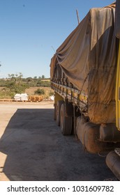 Truck On Coffee Farm