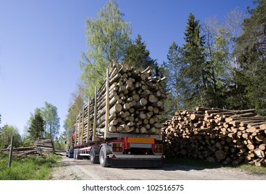 Truck With Timber In The Forest