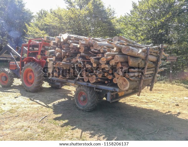 Truck Transport Timber for\
Fire and Furniture in the Woods in Sassello,Italy-August\
2018