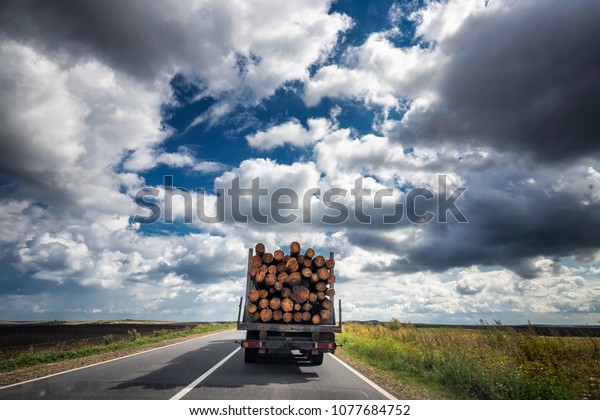 Truck transports timber - all untreated pine\
wood with cloudy sky,\
Ukraine.