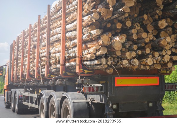 the truck\
transports wood on the highway export import and delivery of wood\
rear view, transportation of wood with pine spruce cedar fir. Sun\
glare, tinted image, selective\
focusing