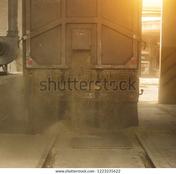 A truck unloads grain at a grain storage and\
processing plant