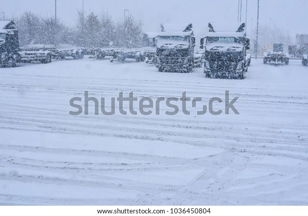 The trucks parked up during snowing condition unable\
to drive due to snow