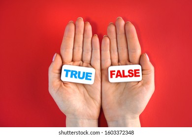 True Or False Concept With Blocks And Text In A Hands 