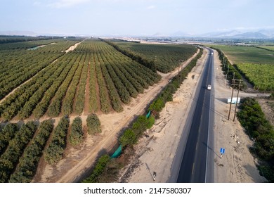 Trujillo, Peru: Aerial image of the technified crops in the Peruvian desert, specialized in products for agro-export