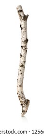 Trunk Or Branch Of A Birch Isolated On A White Background