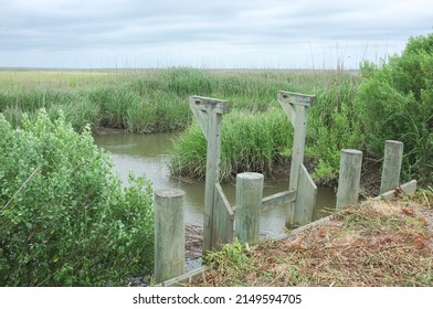 Trunk on a canal in the Sante Delta of South Carolina. Trunks are a type of floodgate used throughout the South Carolina lowcountry for controlling water levels on rice plantations.