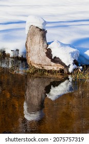 im Teich reflektierter Kofferrunk in der Bergwelt mit Schnee und Gefrierwasser