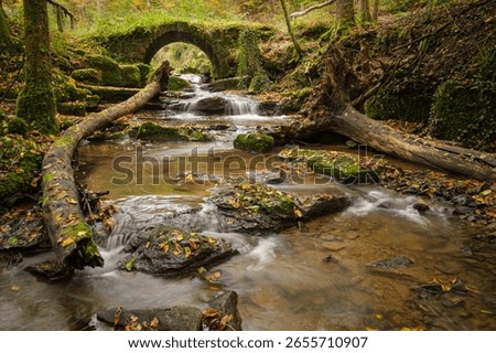 Trunk trees and fall leaves lying in a creek stream with waterfall and stone bridge