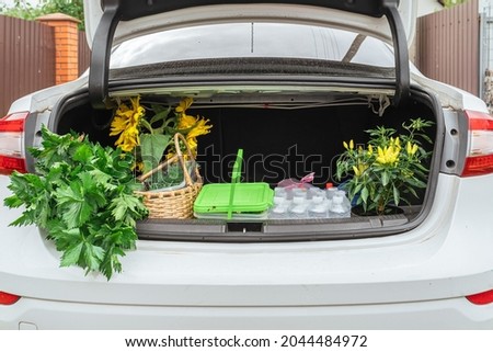 trunk of white car is filled with vegetables harvested in garden or bought at vegetable market