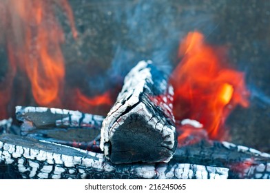 Trunks in bonfire closeup.
