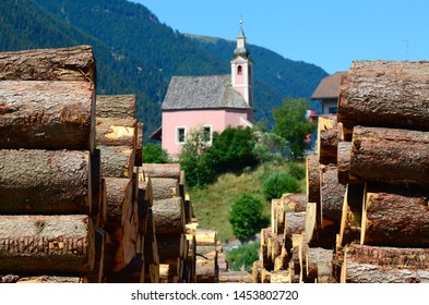 trunks cut in a sawmill near Brunico (BZ), Val Pusteria, South Tyrol. Italy