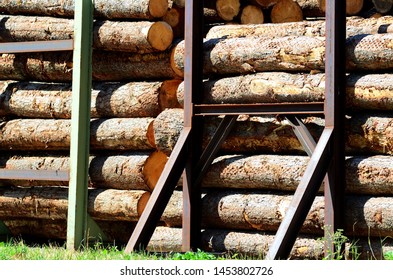 trunks cut in a sawmill near Brunico (BZ), Val Pusteria, South Tyrol. Italy