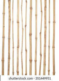 The trunks of various thicknesses of dry bamboo isolated on white background.       