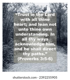 "Trust in the Lord with all thine heart; and lean not unto thine own understanding.  In all thy ways acknowledge him, and he shall direct thy paths" (Proverbs 3:5-6)