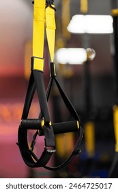 TRX straps training loop equipment. Loop functional training equipment. Sport accessories. Fitness and Gym workout items