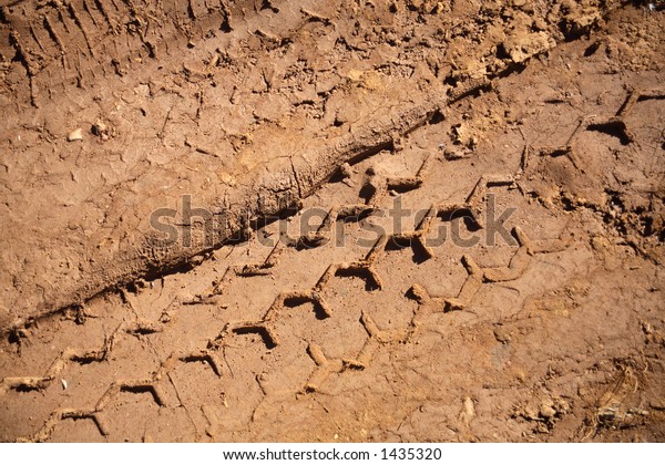 Trye tracks in the\
mud