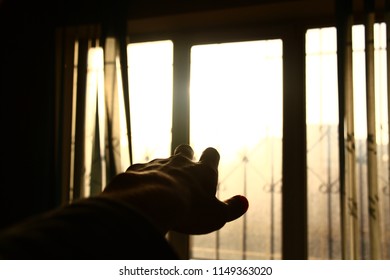 trying to touch the sun
