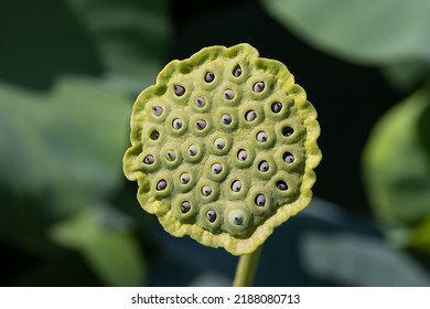 2,108 Irregular holes Images, Stock Photos & Vectors | Shutterstock